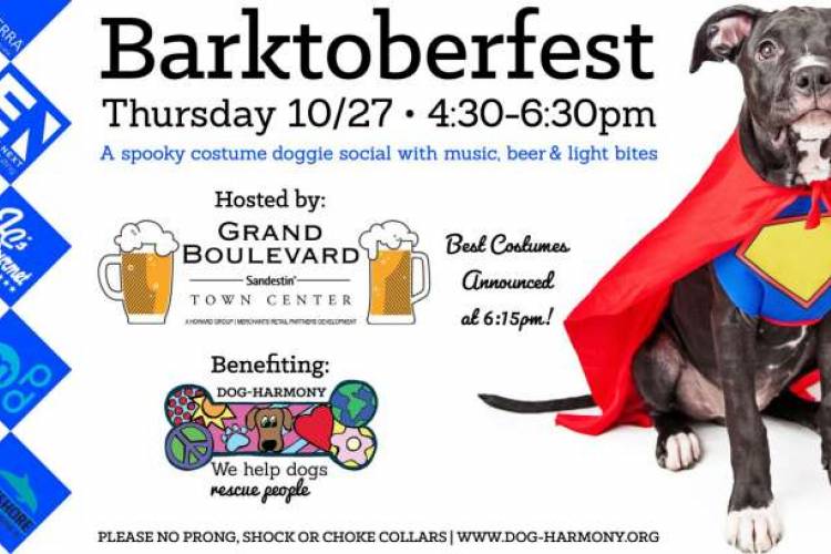 Barktober Fest Coastal 30A Destinations